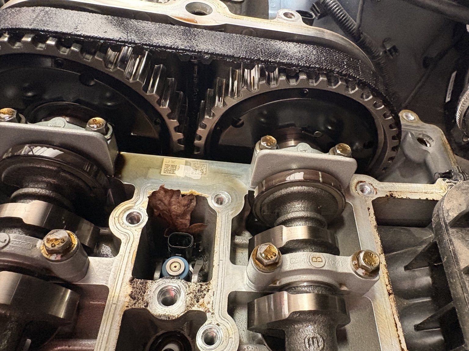 Deteriorated wet timing belt visible inside an engine