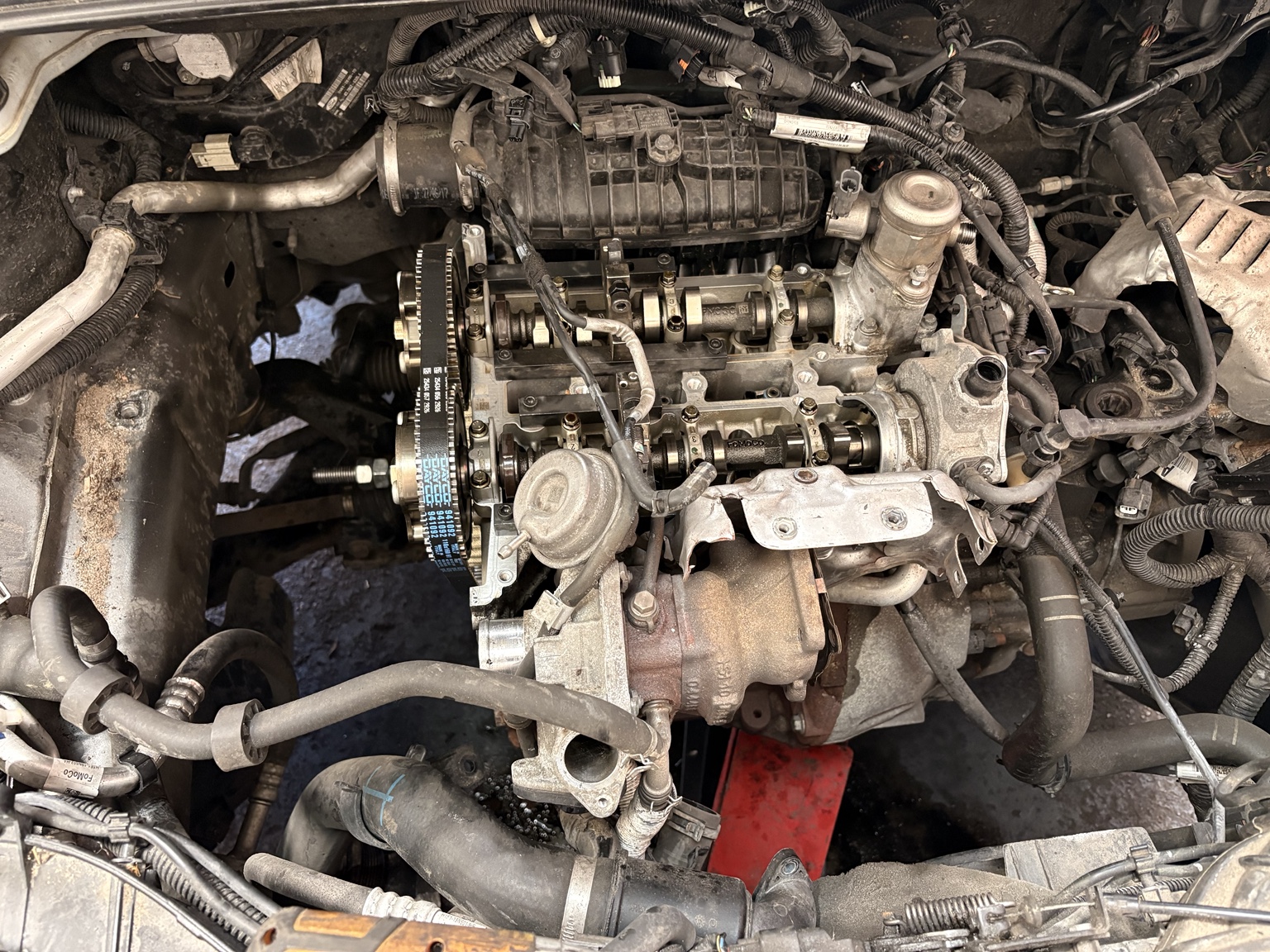 Engine after wet timing belt replacement