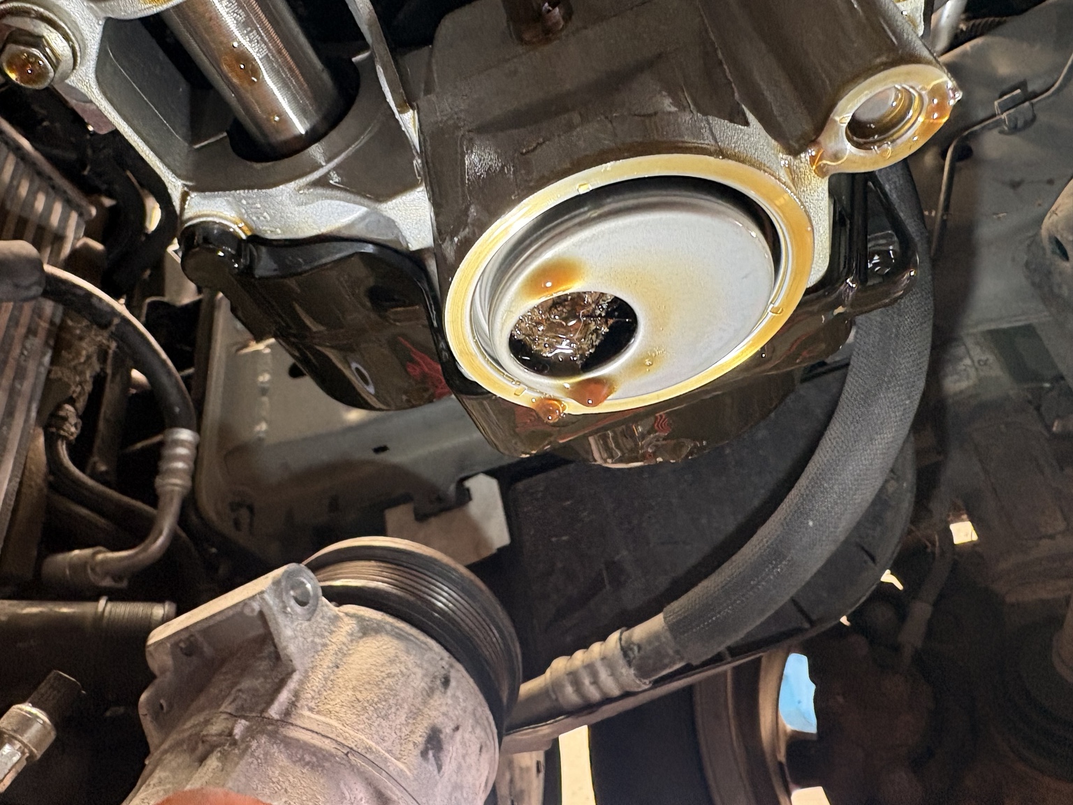 Wet belt debris found in engine oil system
